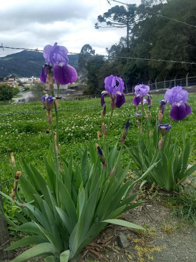 Chales Manaca Da Serra Urubici Buitenkant foto