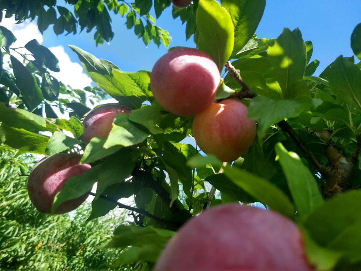 Chales Manaca Da Serra Urubici Buitenkant foto